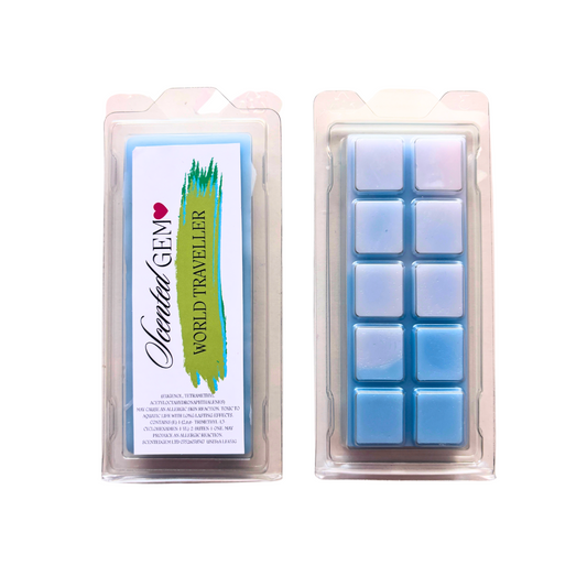 World Traveler Sc*ntsy dupe  wax melt